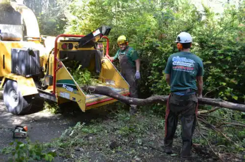 tree services Cudjoe Key